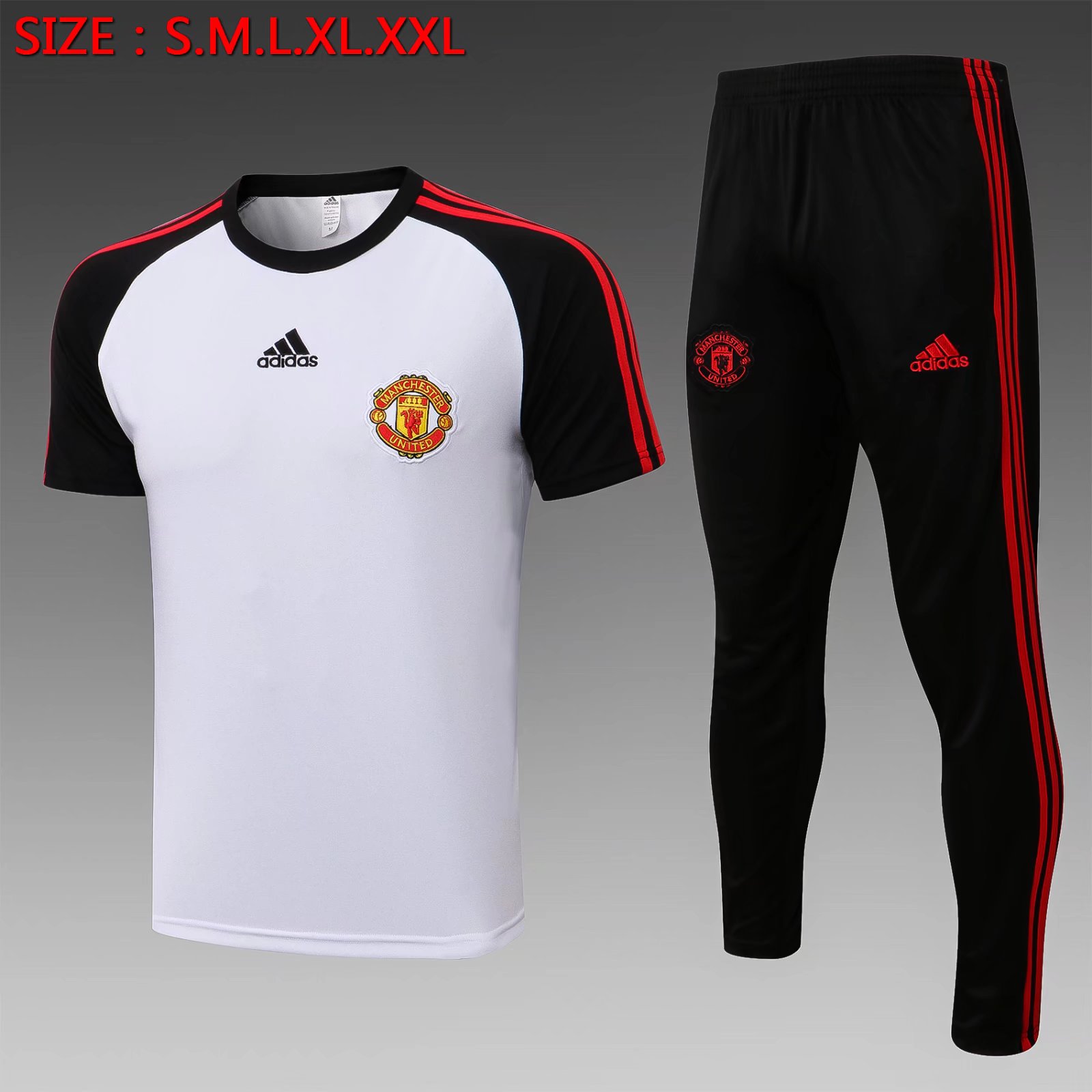2021-2022 Manchester United White Shorts-Sleeve Thailand Soccer Tracksuit Uniform-815