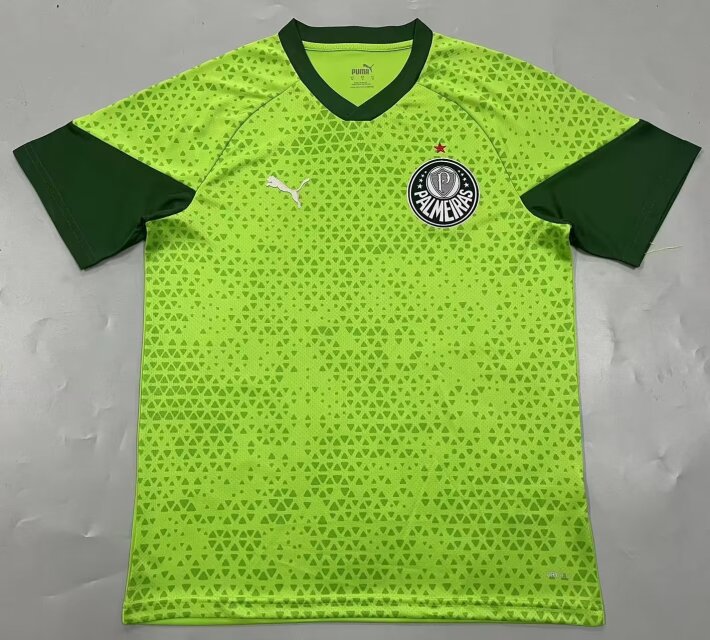 2024/25 SE Palmeiras Green Thailand Soccer Training Jersey-908