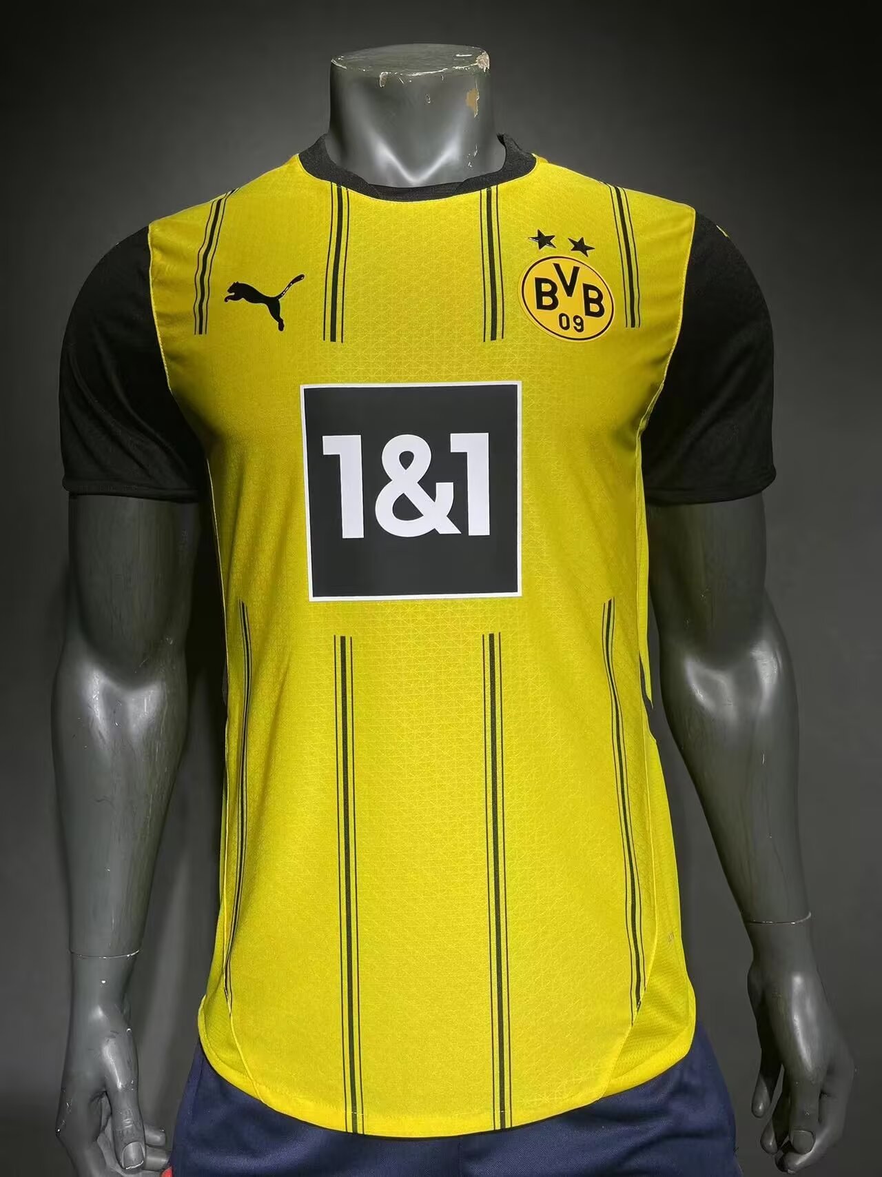 Player Version 2024/25 Borussia Dortmund Dray & Yellow Thailand Soccer Jersey-308/408/703