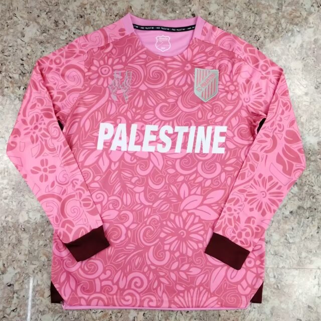 2024/25 Palestino Pink LS Thailand Soccer Jersey AAA-38