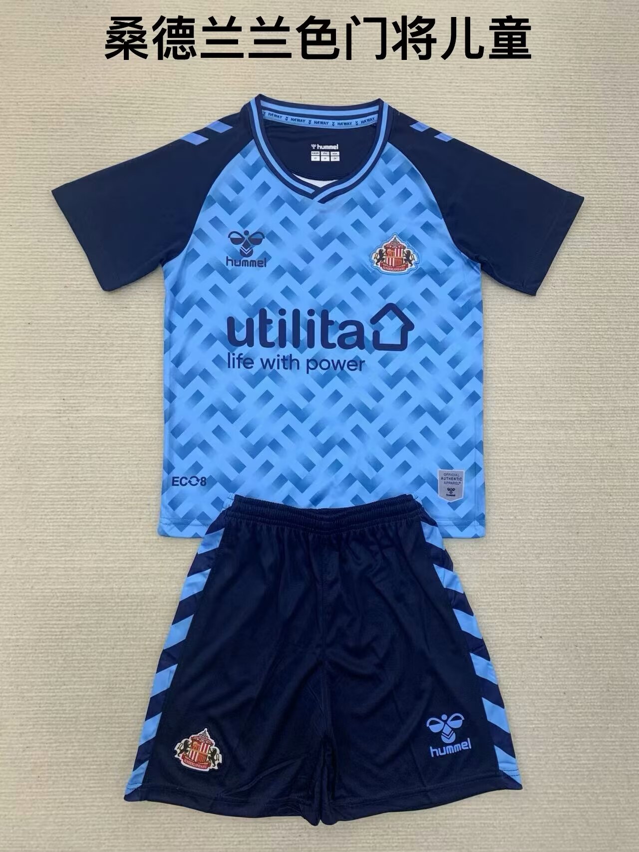 Kids 2024/25 Sunderland Goalkeeper Blue Kids/Youth Soccer Uniform AAA-208