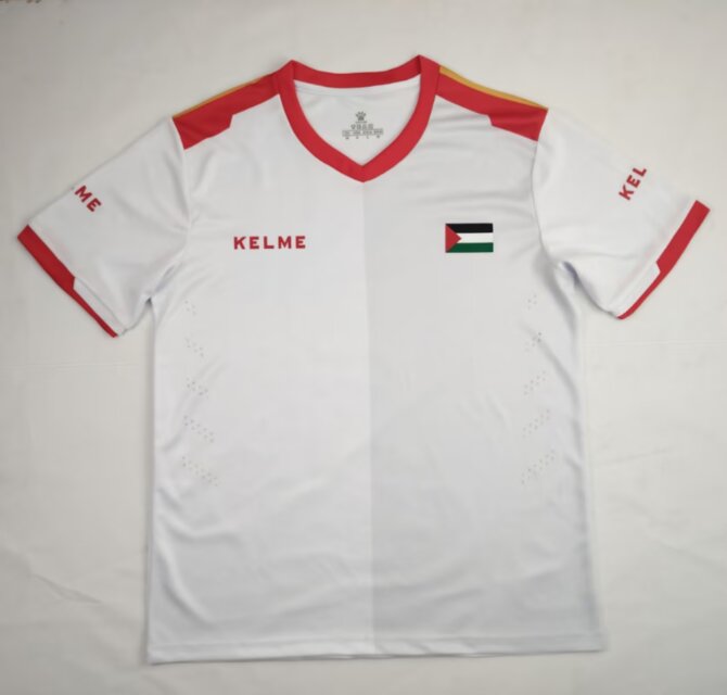 2024/25 Palestino Away White Thailand Soccer Jersey AAA-23/38