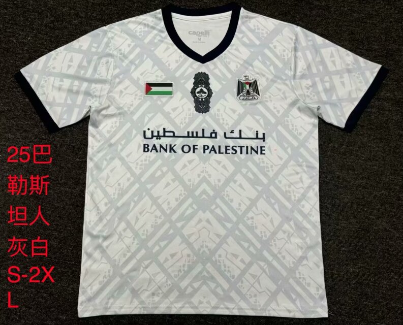 2024-25 Palestino Gray & White Thailand Soccer Jersey AAA-709