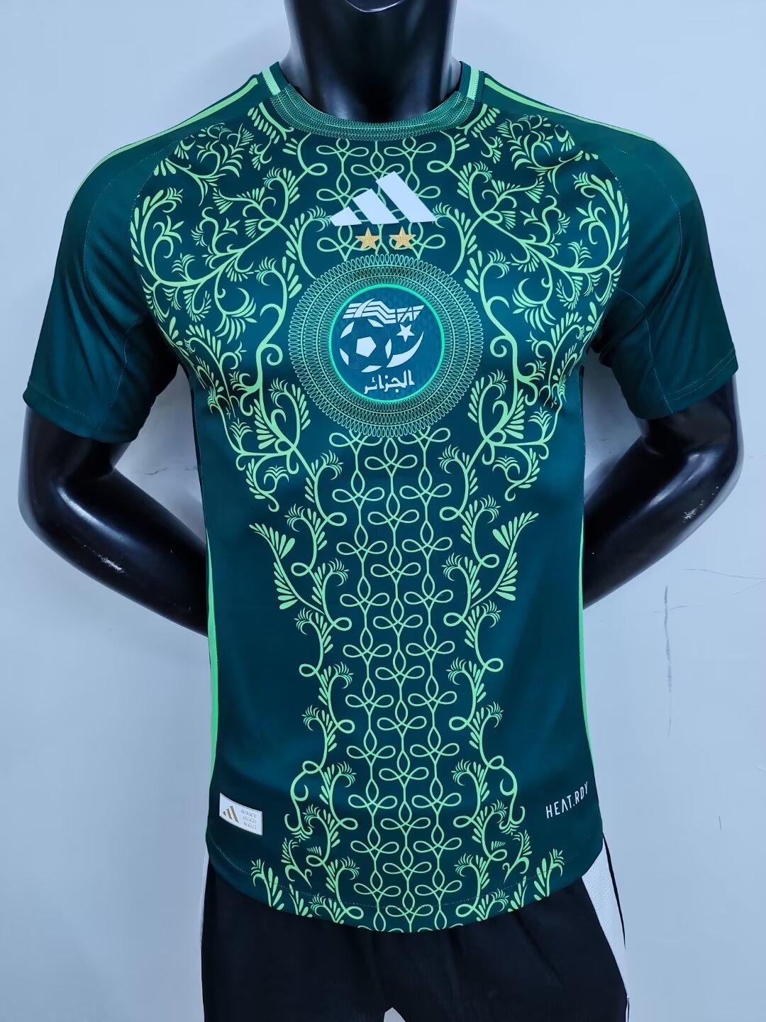 Player Version 2024/25 Algeria Away Green Thailand Soccer Jersey AAA-MY