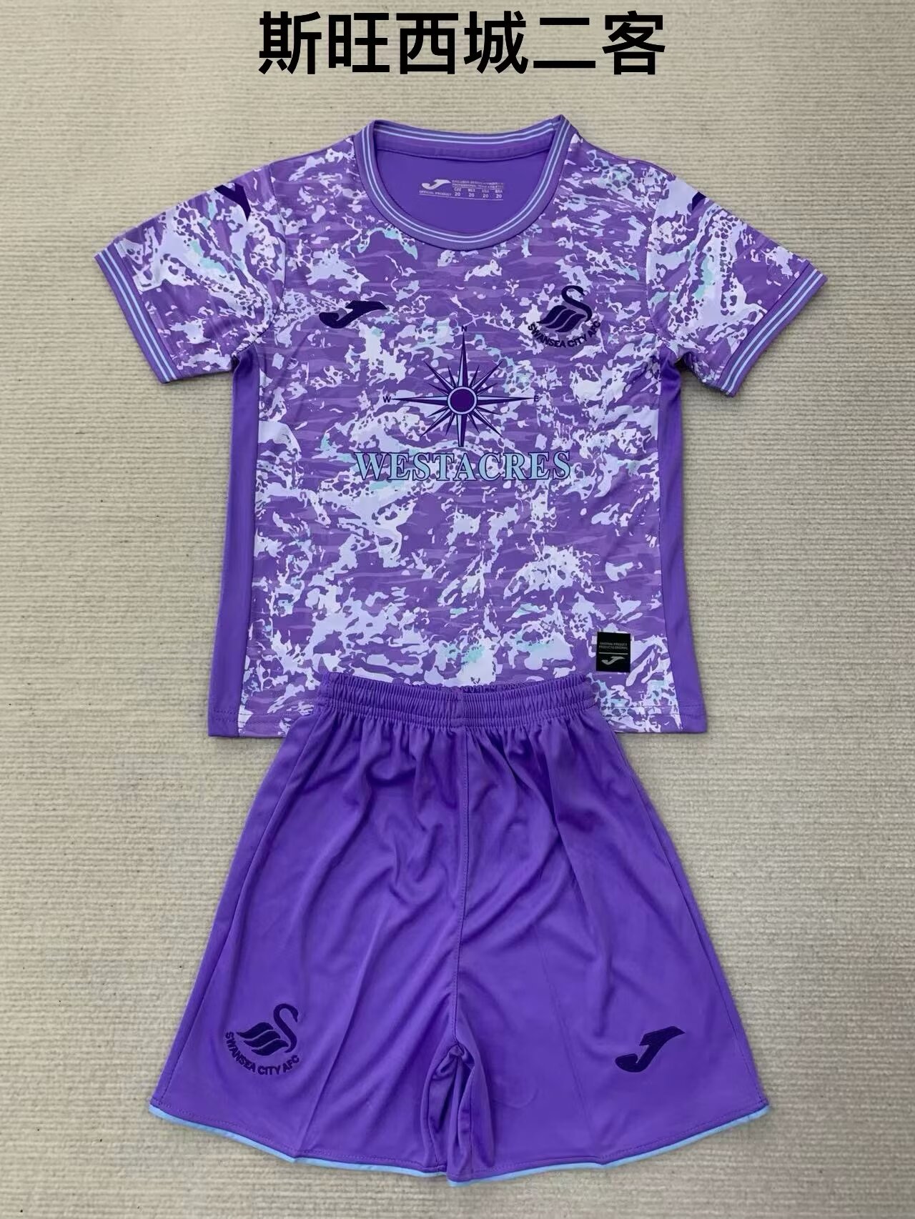 2024/25 Swansea City 2nd Away Purple Soccer Uniform-208