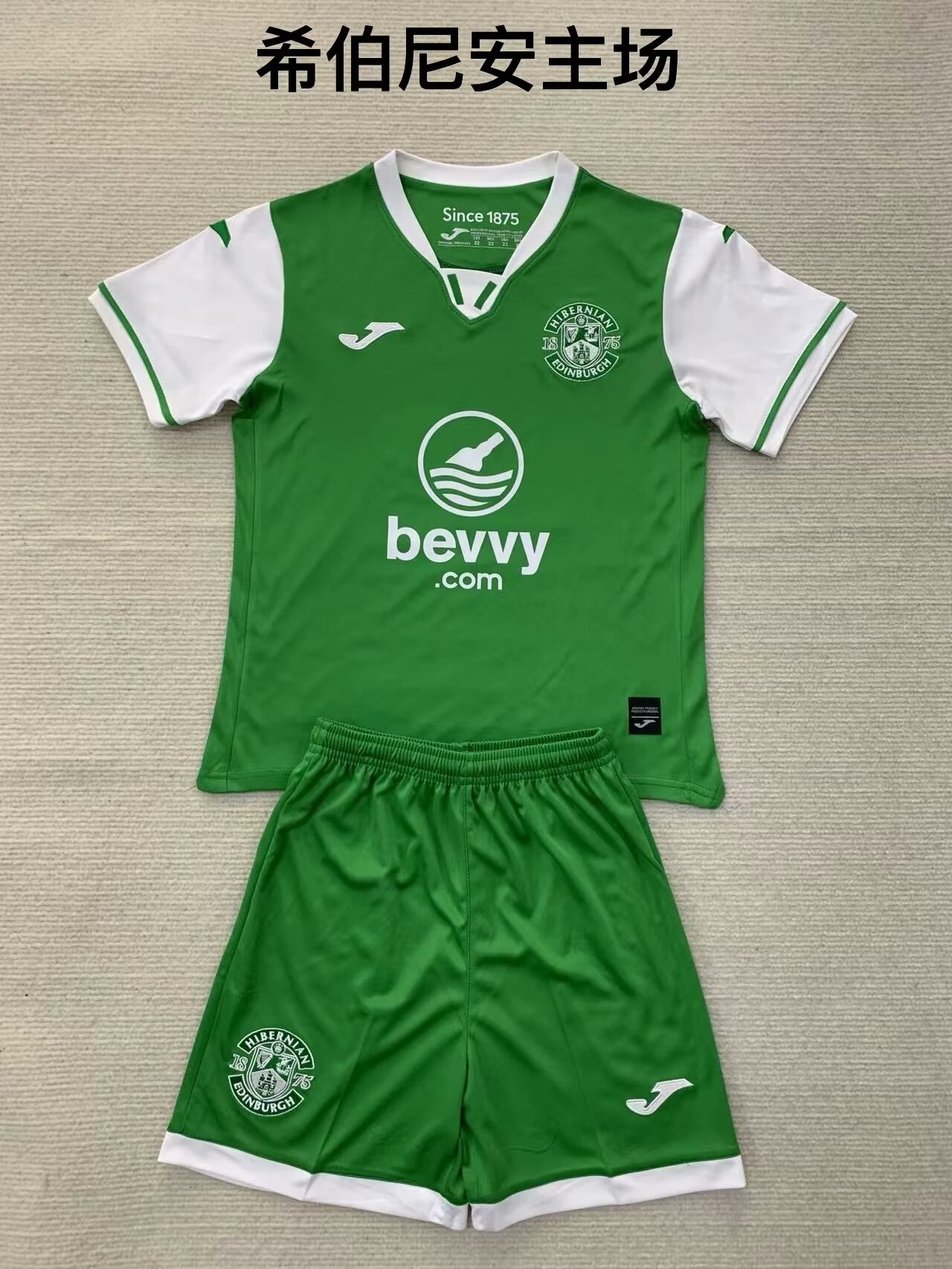 Kids 2024/25 Hibernian Home Green Kids/Youth Soccer Uniform-208