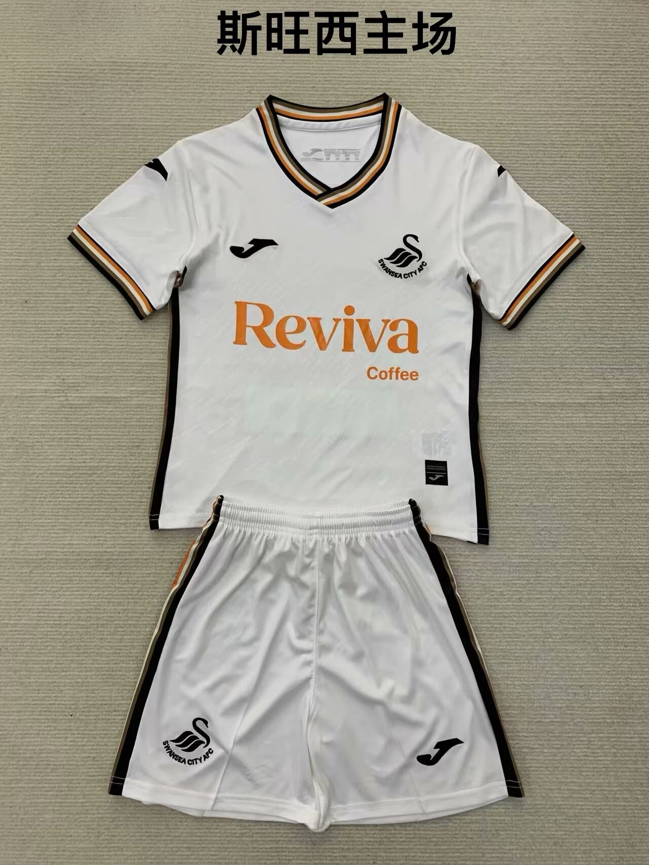 2024/25 Swansea City Home White Soccer Uniform-208